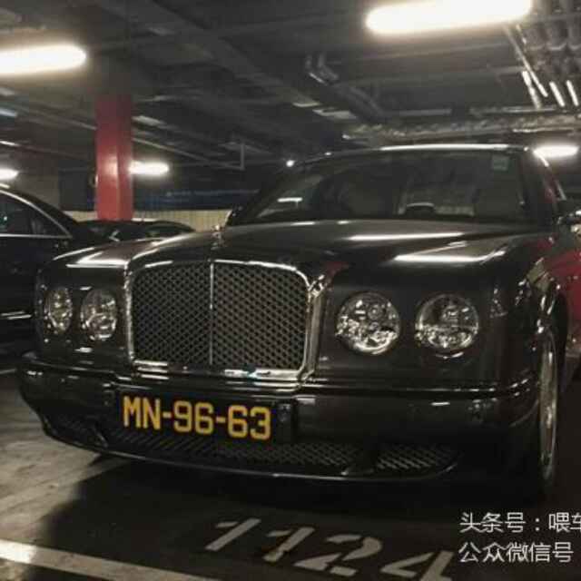 自由飞翔282