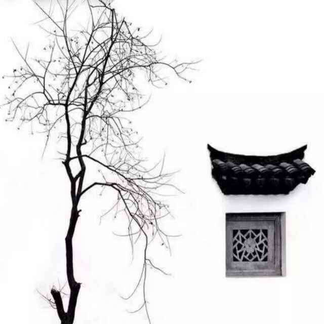 方枪枪