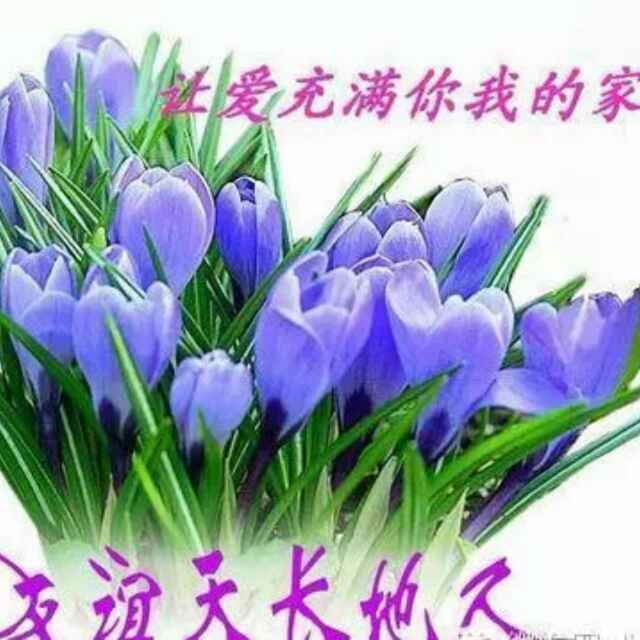 无所谓891