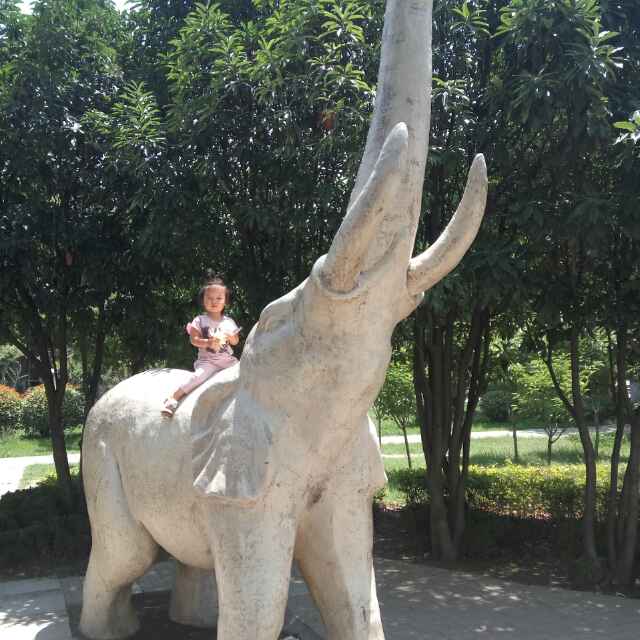 guo fei
