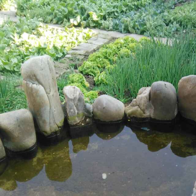 东方红太阳升