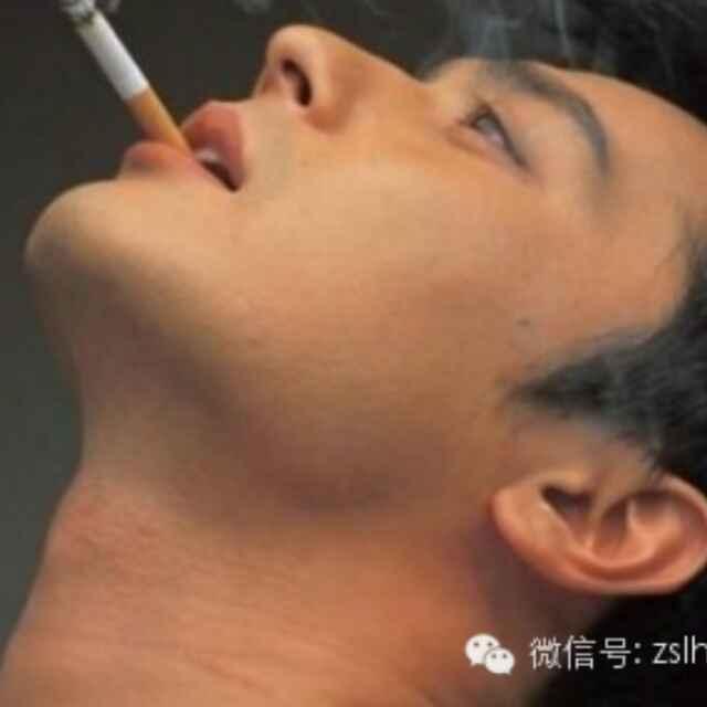 miao.com