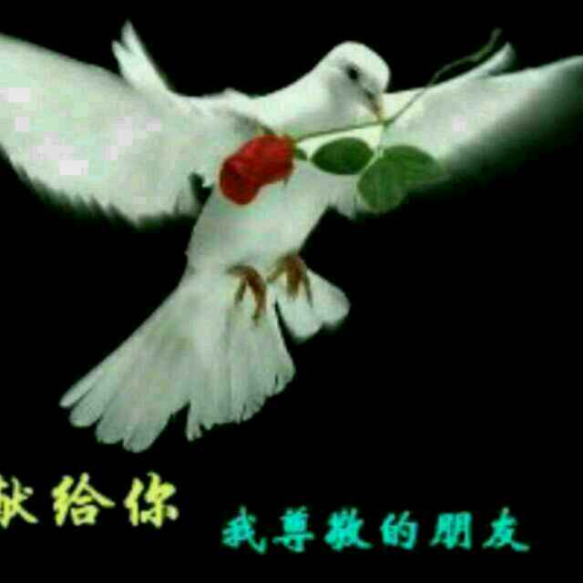 彭玉林