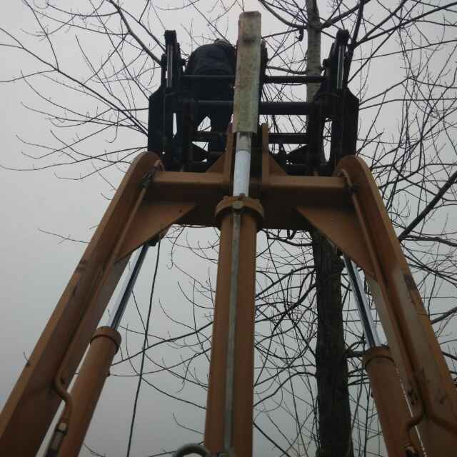 黑野