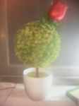 木粉商家
