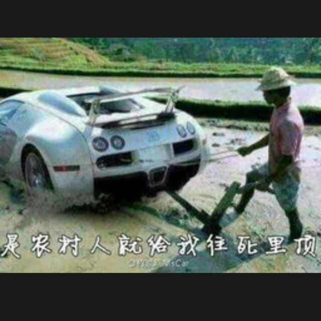 殇情之觞