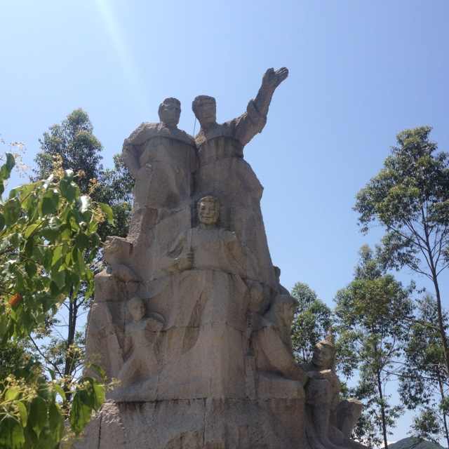 橄榄枝