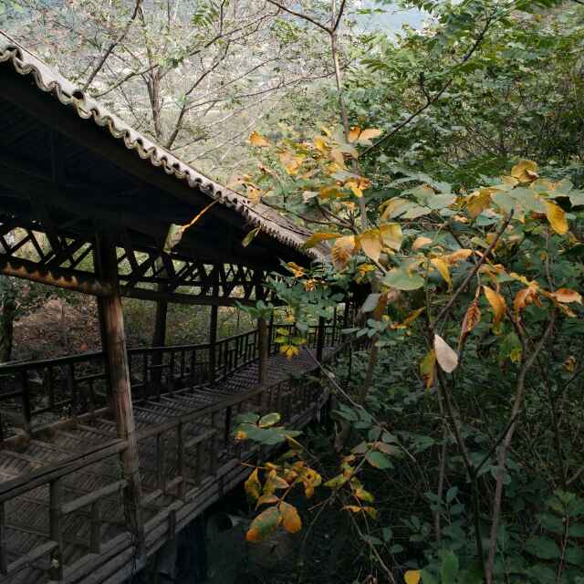 顺风漂泊