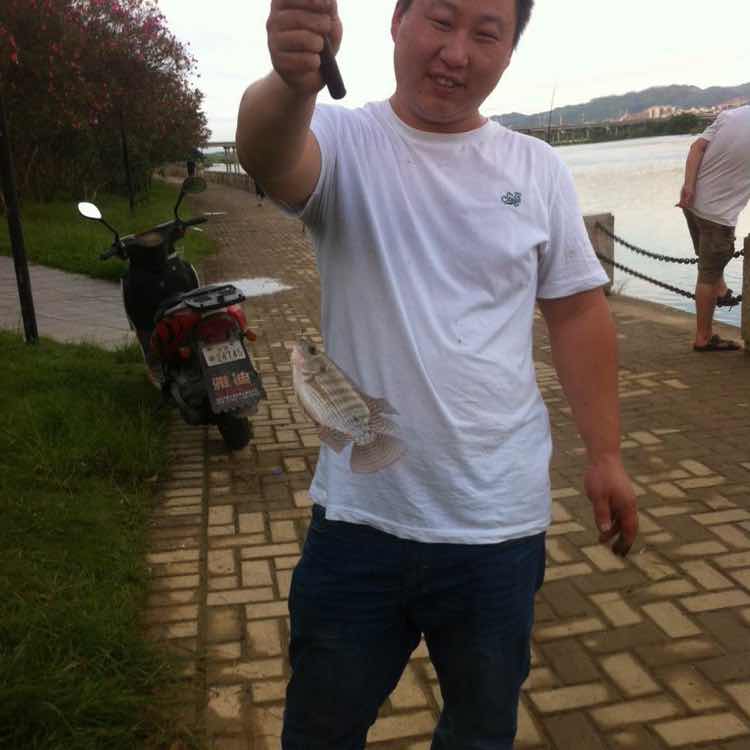情随风