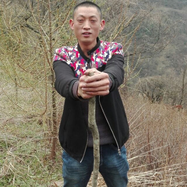 回味人生
