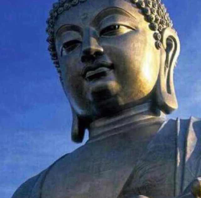 菩提树下44