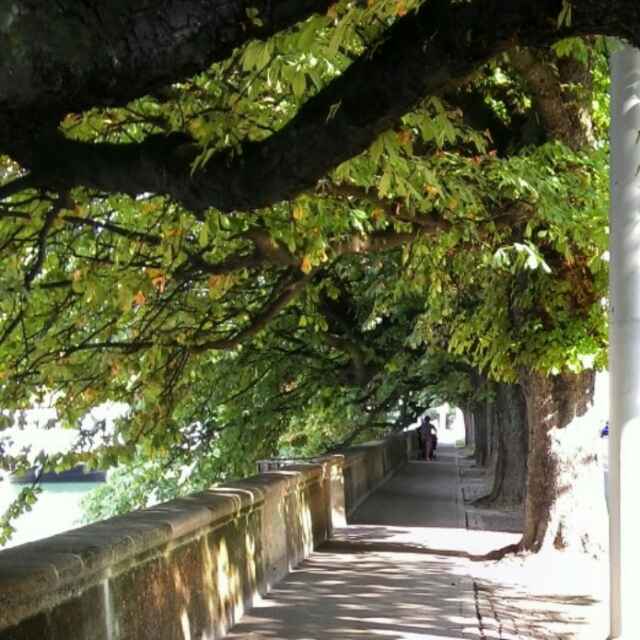 漂泊453