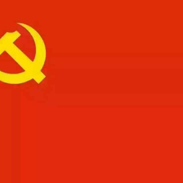 园开小魏