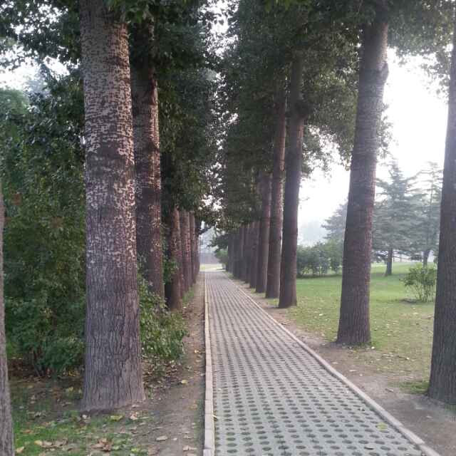 张彬