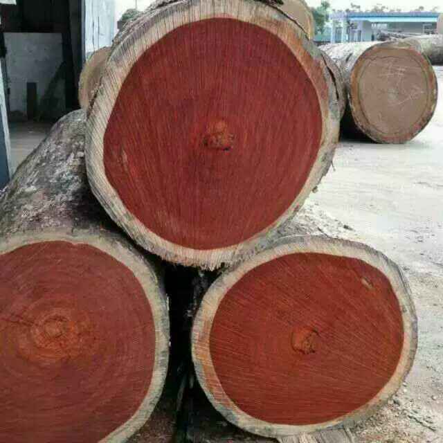 胜涛木材有限责任公司