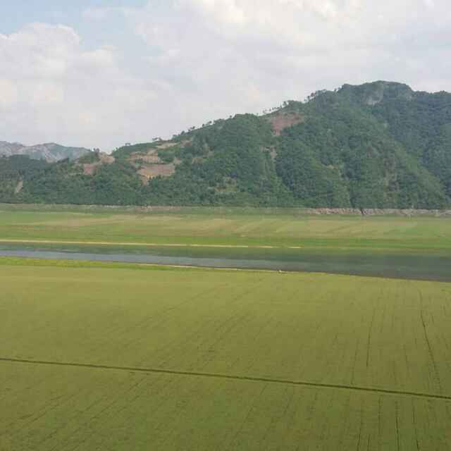雄鹰718