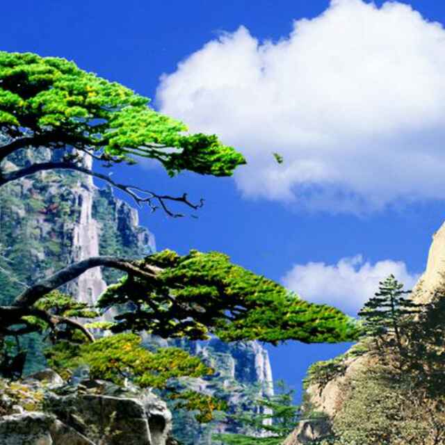 敏感在线