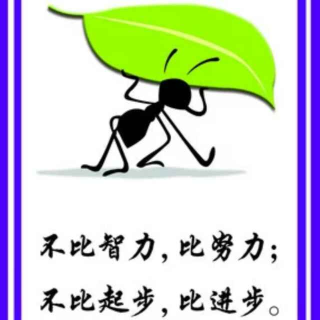 沈阳沈阳