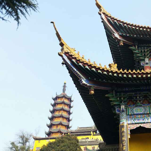 巨龙橱饰.陈光华