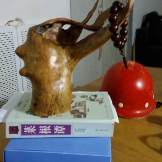 赵国利