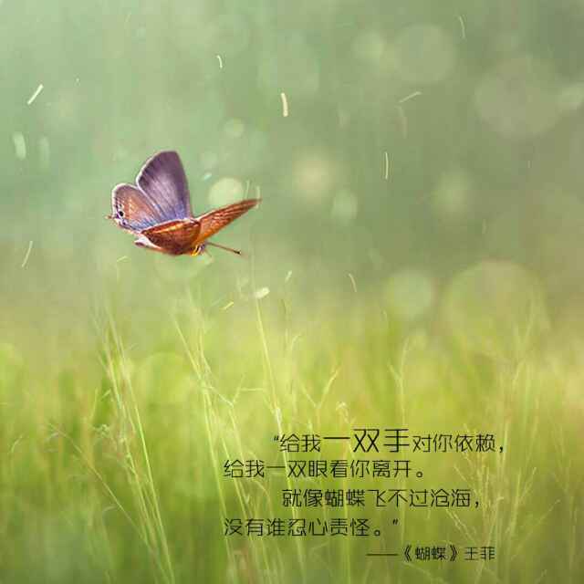淡忘121