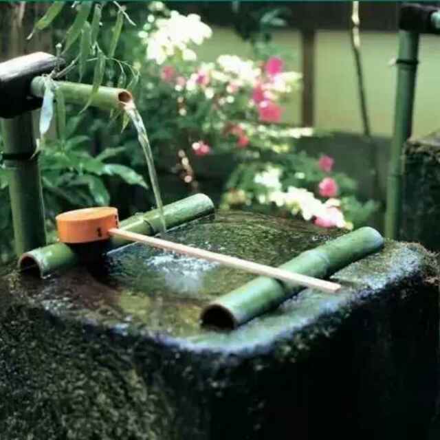 惜春