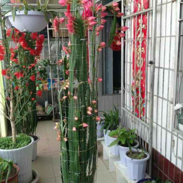 那一抹
