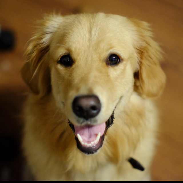 Zan