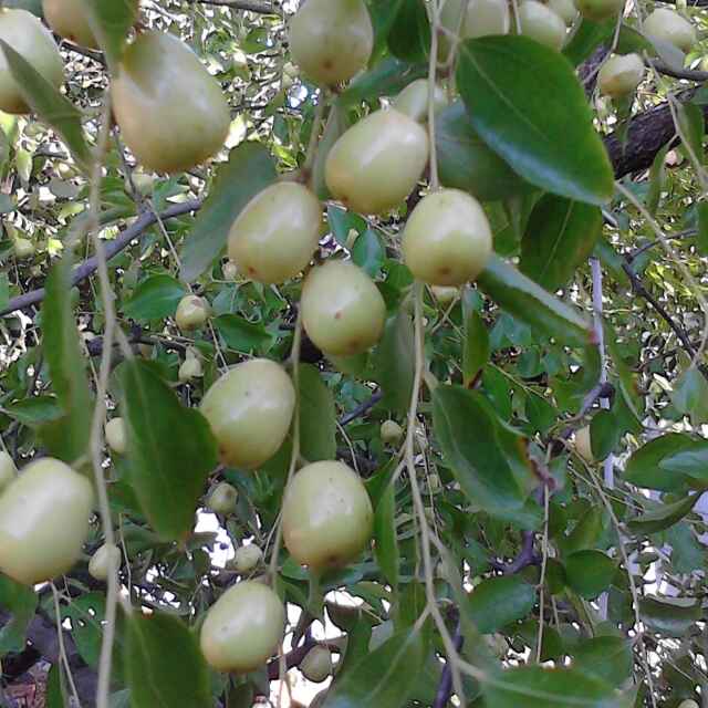 亲情~金钱