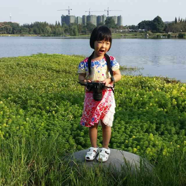 太阳山上