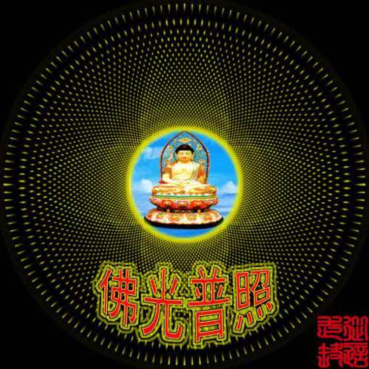 彬彬有礼717