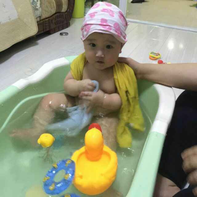 孤独的候鸟   