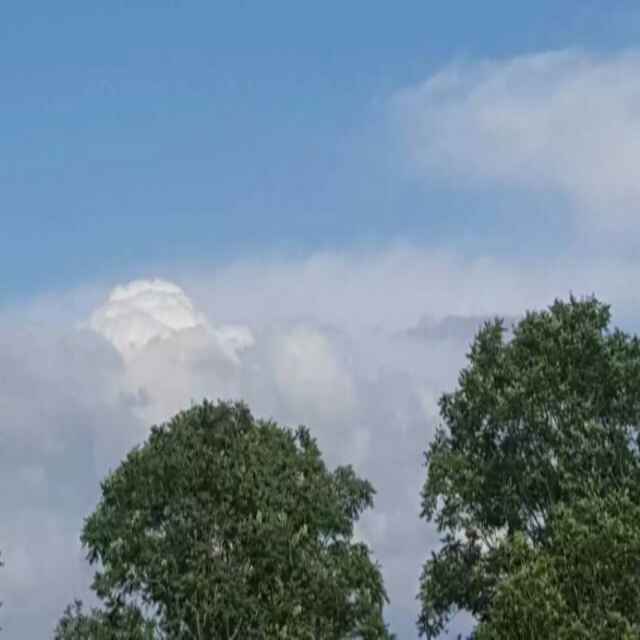 一302