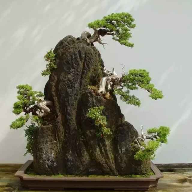 (ノ๑`ȏ´๑)ノ︵你行你上