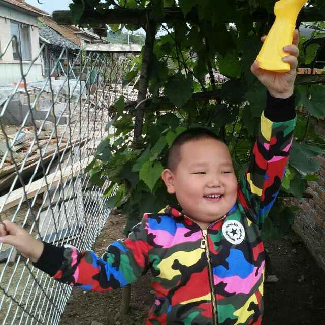 乡长