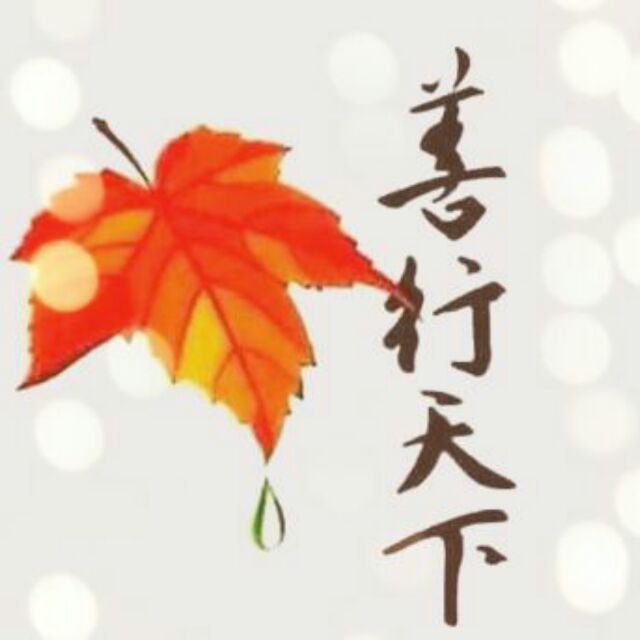 随风6