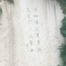 麻老虎