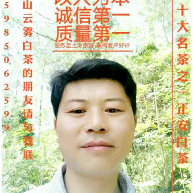 厂家直销批发白茶  绿茶系列产品