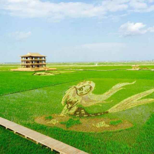 瑞宝