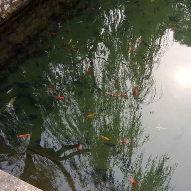 朱兴林