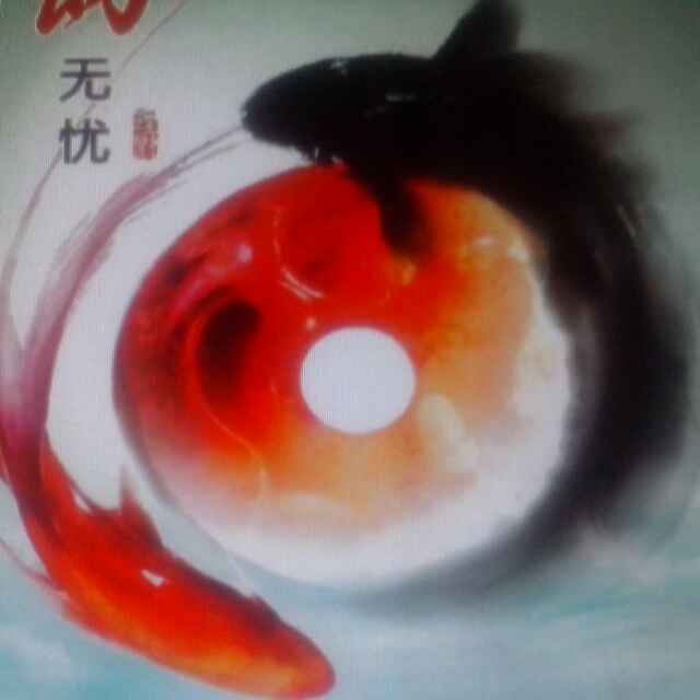 让爱回家