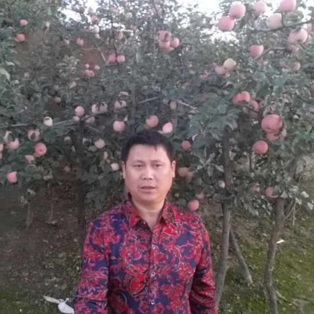 龙的传说^o^y专业砸墙拆除