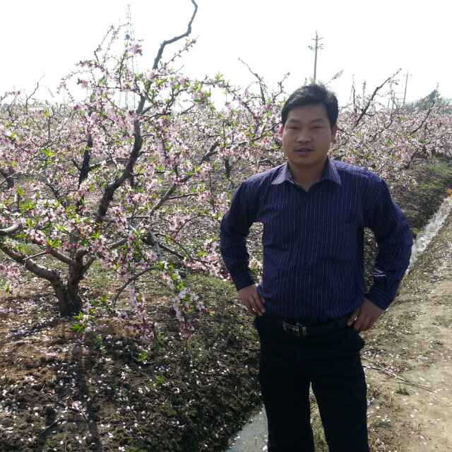 Hi桃花备哥