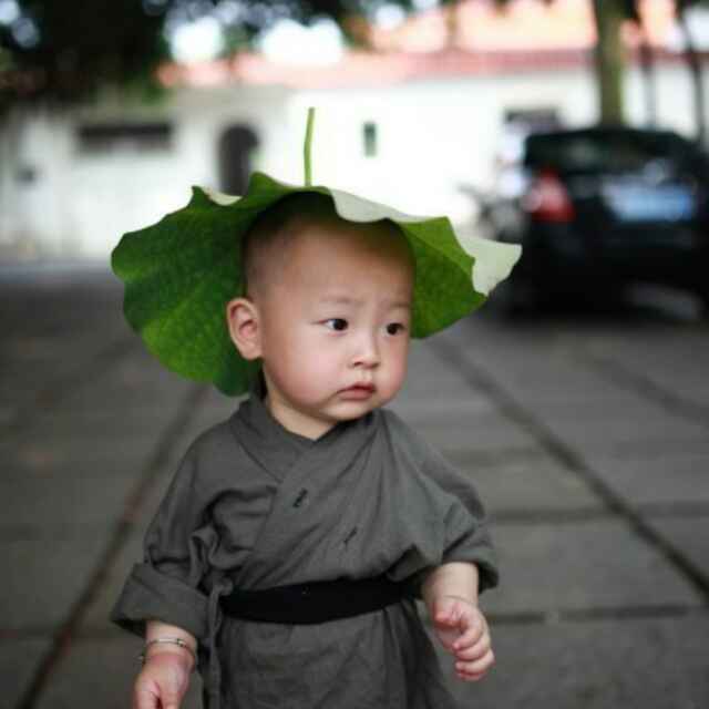 杰少264