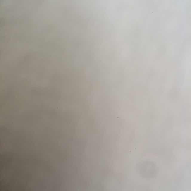 e568