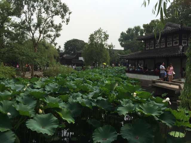 目莲坞