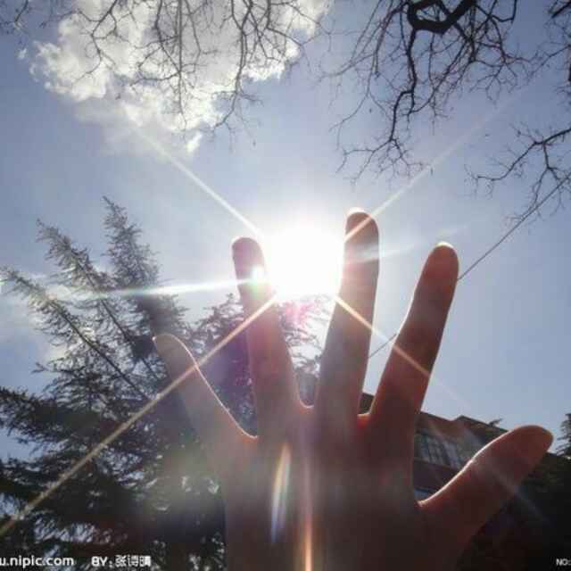 面朝阳光