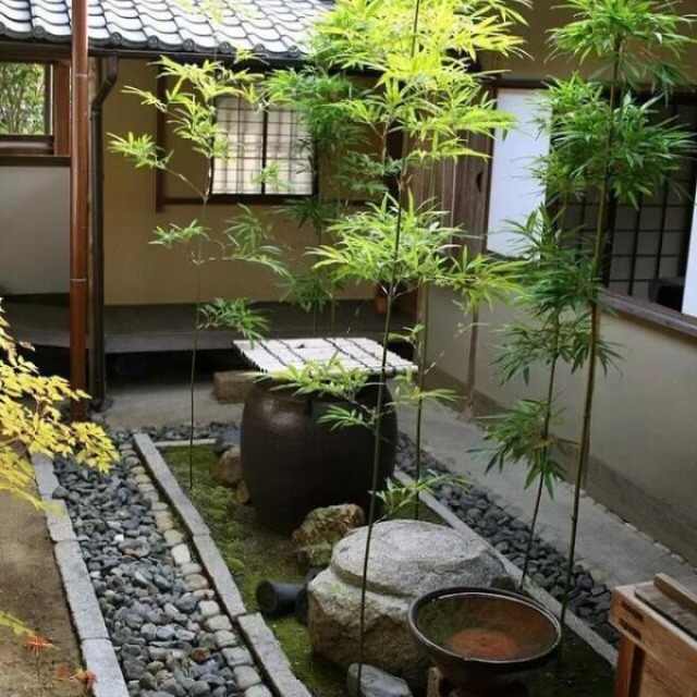 埔苑