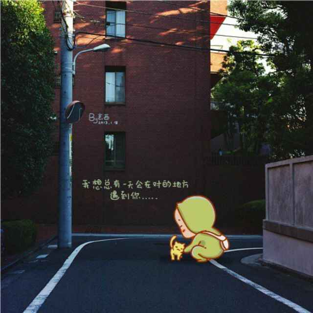 马路上的小蜗牛