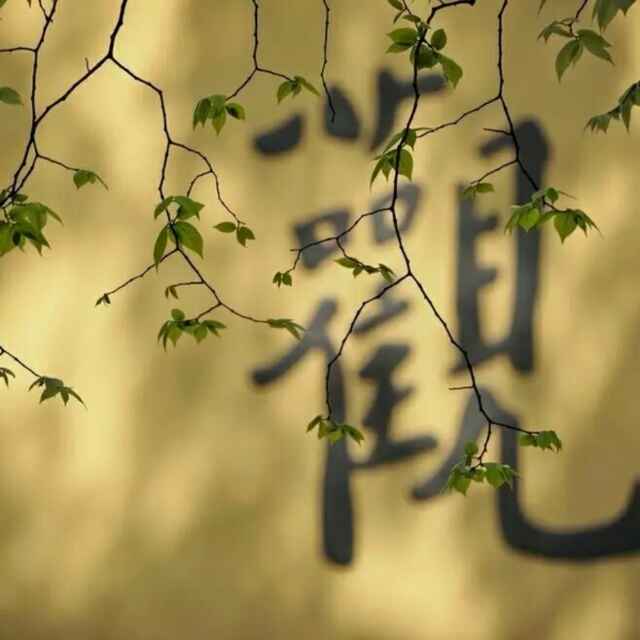 王栋577